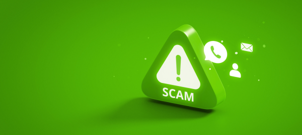 Read more about the article Avoid Getting Scammed: What Accountants Look For (And You Should Too)