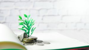 Read more about the article CPP2 Explained: What High Earners Need to Know About the Second Ceiling in 2025